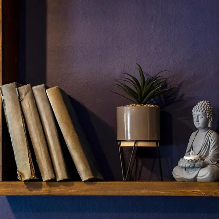 The Bolt Hole Town Centre, Dog Friendly